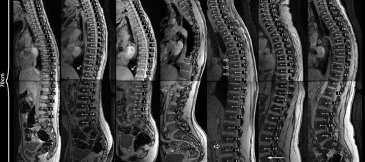 Diagnostic pe scurt