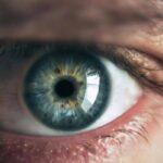 Ce este atrofia nervului optic și cum poate afecta vederea
Semne și simptome frecvente de observat
Cauze obișnuite și factori care pot favoriza apariția
Semnale de alarmă și când este bine să consulți medicul
Pe scurt metode uzuale folosite pentru stabilirea diagnosticului
Abordări terapeutice convenționale și opțiuni medicale
Remedii naturale și suplimente folosite ca adjuvante
Modificări în stilul de viață pentru prevenție și protejarea vederii