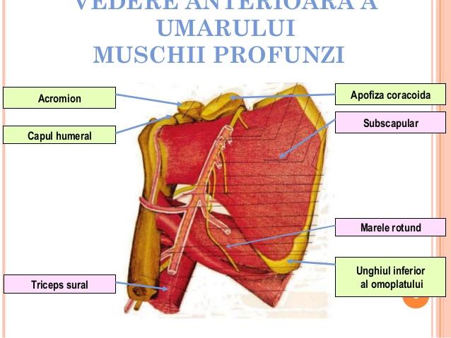 Când să mergi la medic