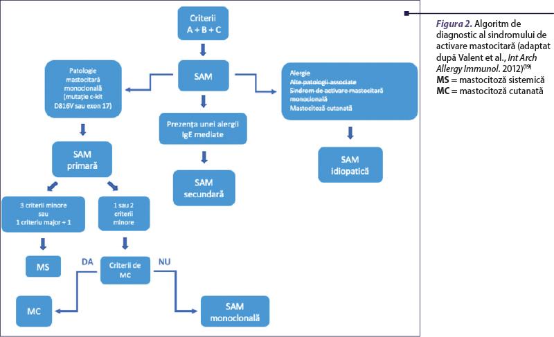 Diagnostic pe scurt