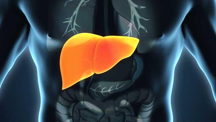 Ce este insuficiența hepatică definiție și consecințe