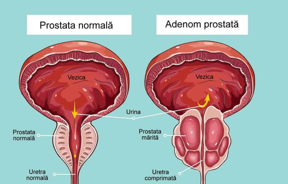 Diagnostic pe scurt abordări uzuale de evaluare și ce implică consultul