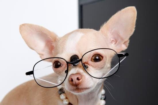Simptome frecvente ale surmenajului intelectual