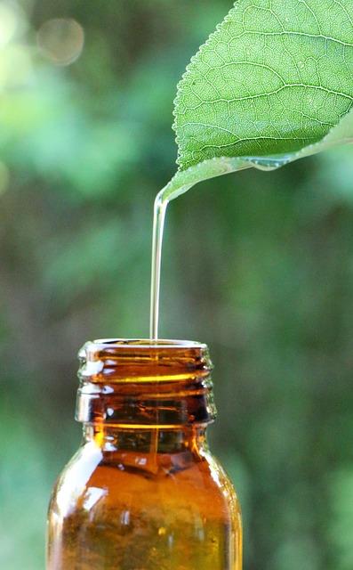 Plante medicinale și extracte concentrate recomandate pentru confort digestiv