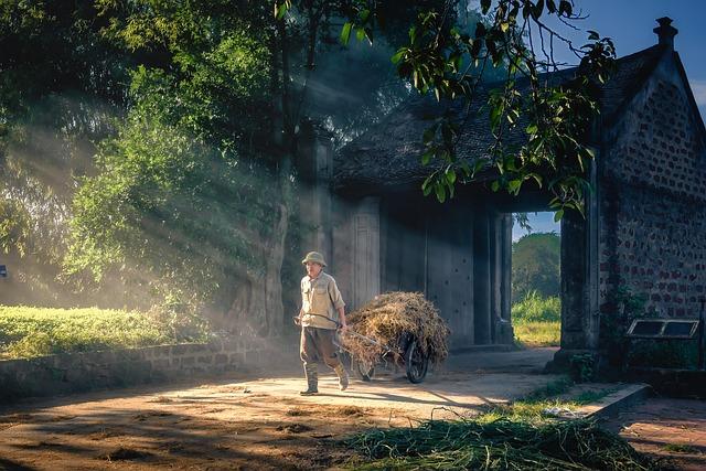   prin rutină zilnică echilibrată