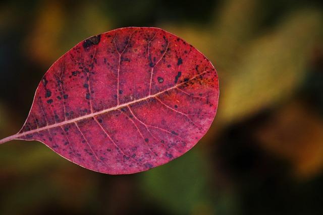 Semne vizuale îngrijorătoare care indică reevaluare și adaptare stil de viață