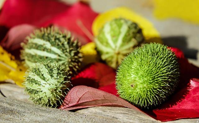 Integrează gemoderivate sau macerate gradual în rutina de îngrijire