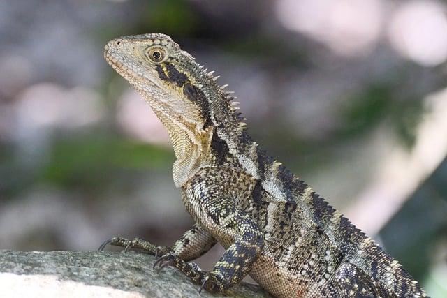 Remedii naturiste și măsuri complementare