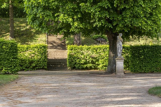 Adaugă gemoderivate macerate gradual 
