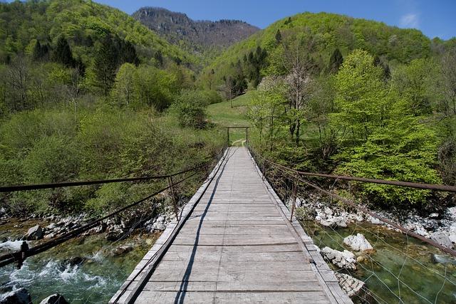 Cauze și factori favorizanți