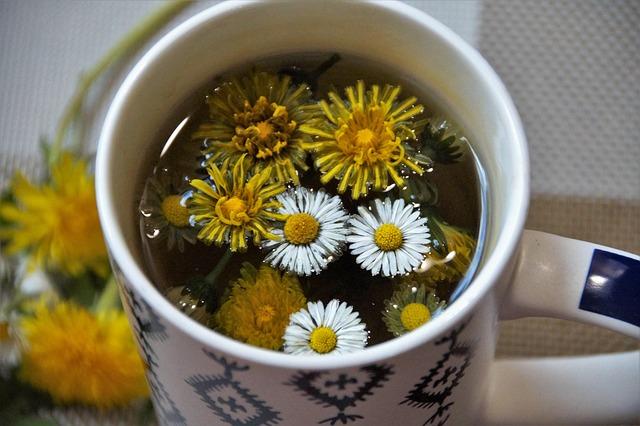 Plante medicinale atent alese pot completa terapiile prin extracte