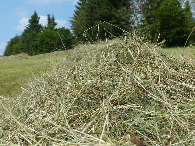 Suplimente esențiale și nutrienți pot completa intervențiile naturiste