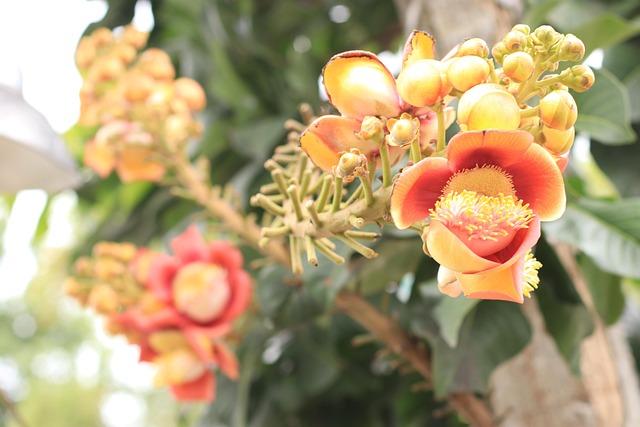 Când să mergi la medic