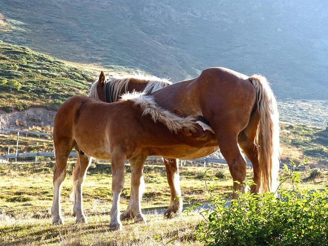 Simptome frecvente: recunoaștere și evoluția tipică a atacurilor