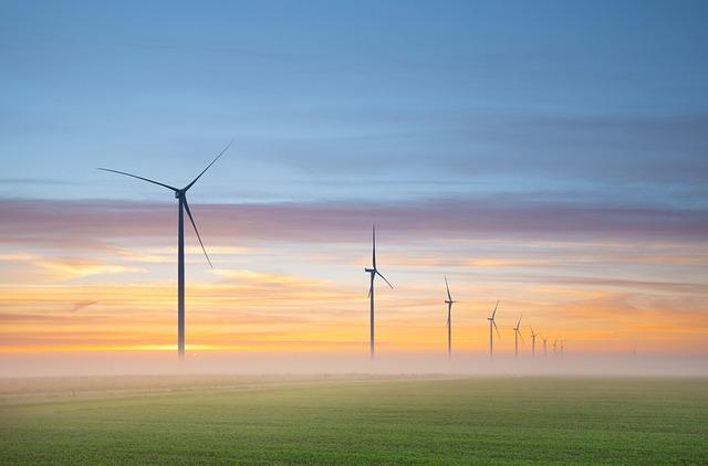 Rutină zilnică echilibrată pentru energie folosind plante medicinale
