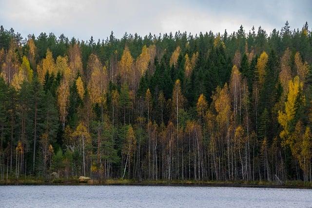 Remedii naturiste și măsuri complementare sigure